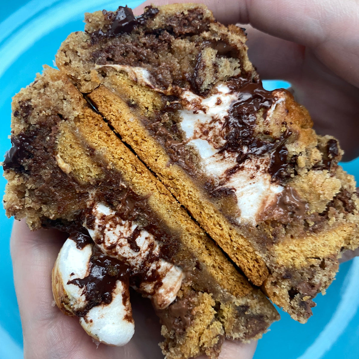 Close-up of a bakery-style S’more cookie filled with gooey marshmallow, melted dark and milk chocolate, and crunchy Digestive biscuit pieces.